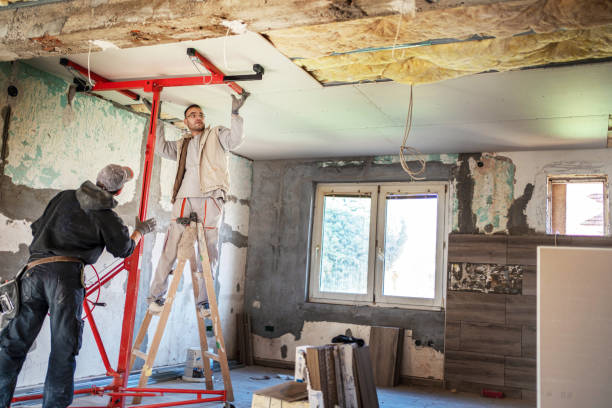 Professional Insulation Contractor in IL